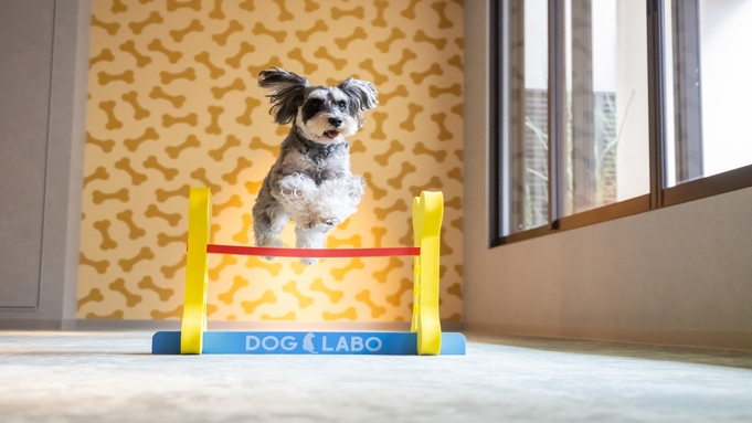  毎月開催！ お得な犬種限定割プラン 【6月は柴犬】 《 朝食付 》